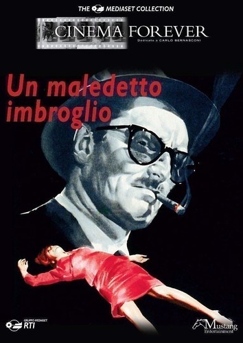 Dvd maledetto imbroglio - maledetto,